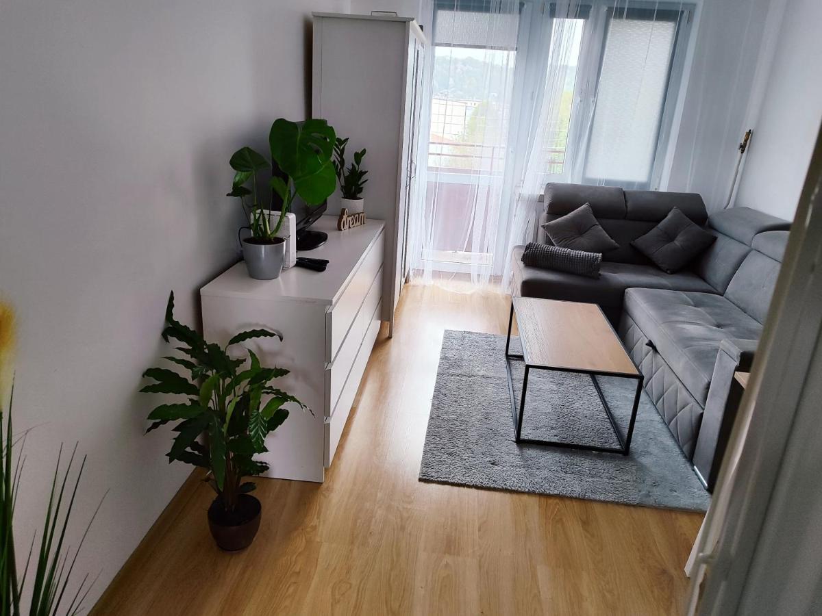 Апартаменты Apartament Sweet Dreams Санок Экстерьер фото